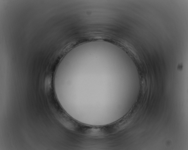 X0000096700406200802051106