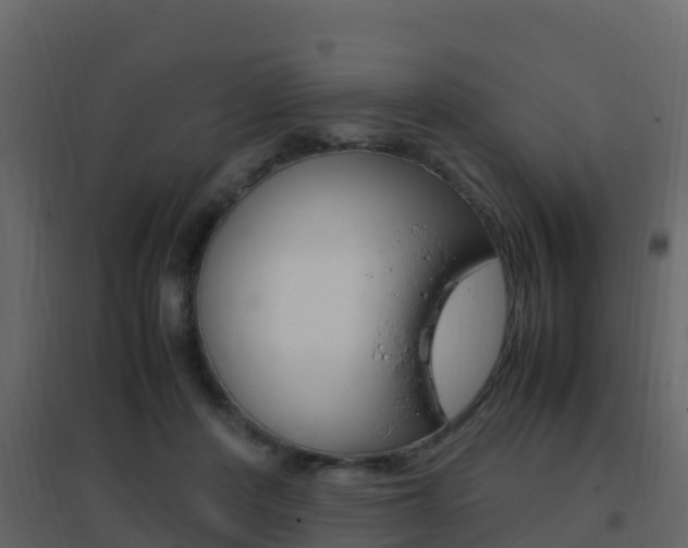X0000096700408200802051106