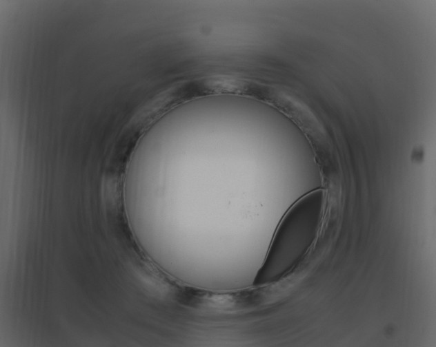 X0000096700409200802051106