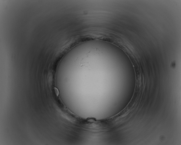 X0000096700412200802051106