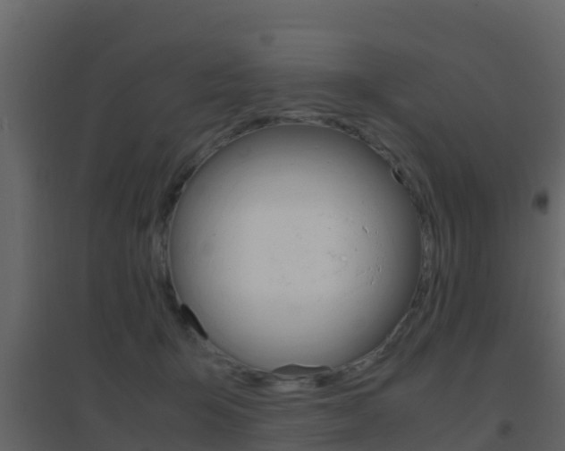 X0000096700415200802051105