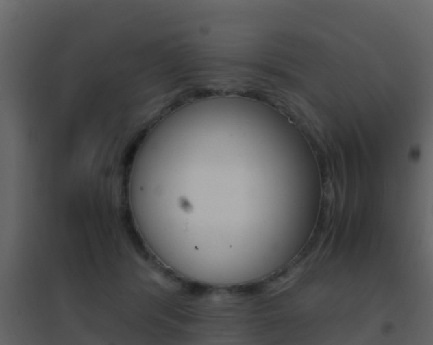 X0000096700416200802051105