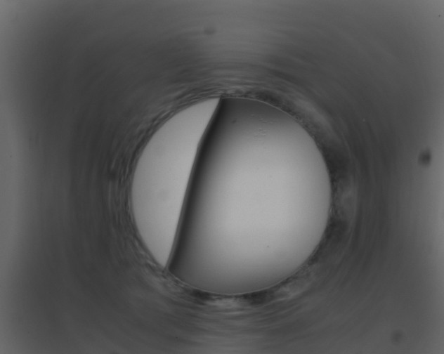 X0000096700417200802051105