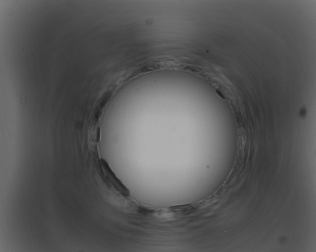 X0000096700419200802051105