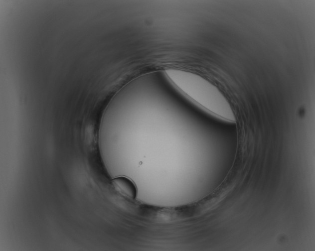 X0000096700420200802051105