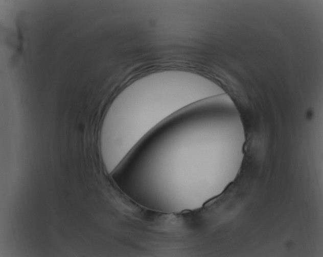 X0000096700421200802051105