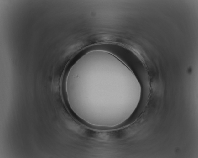 X0000096700423200802051105