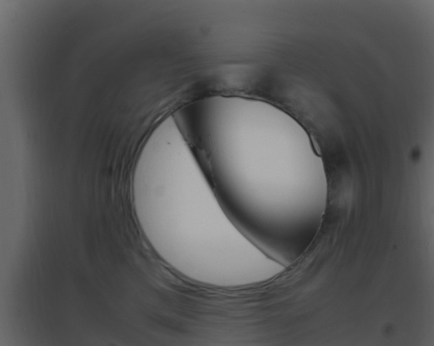 X0000096700425200802051105