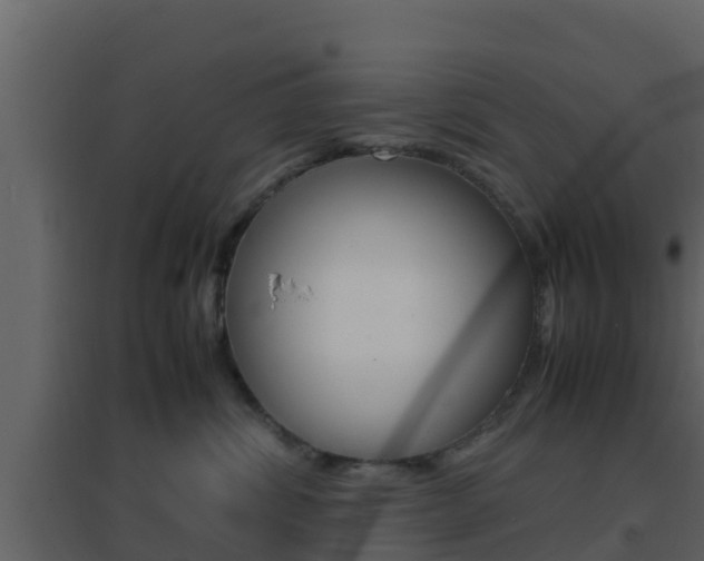 X0000096700428200802051105