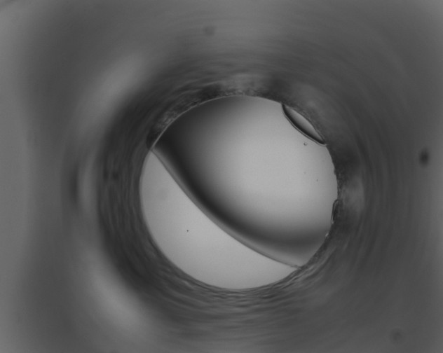 X0000096700429200802051105