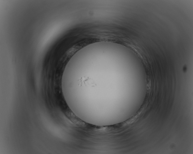 X0000096700430200802051105