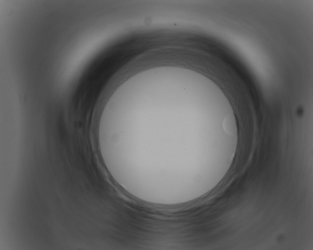 X0000096700431200802051105