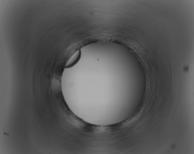 X0000096700432200802051105