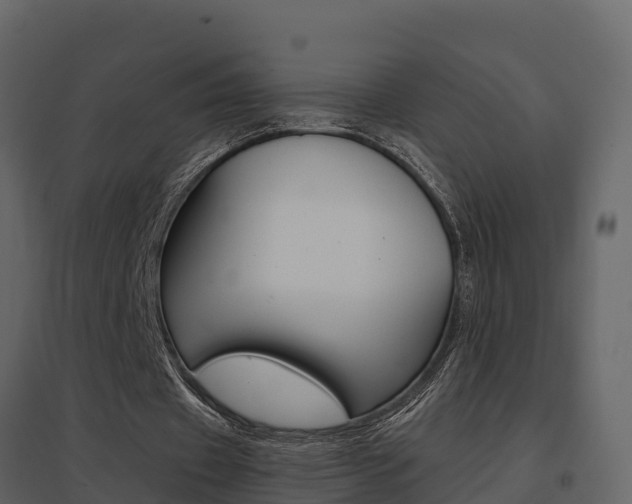 X0000096700433200802051104