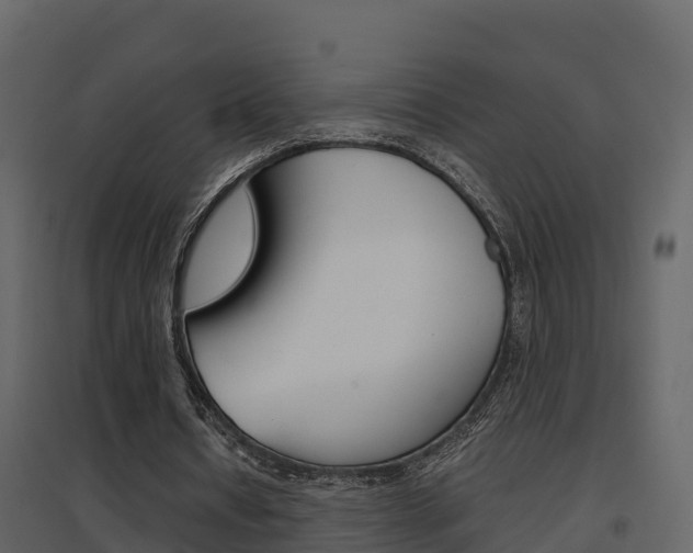 X0000096700434200802051104