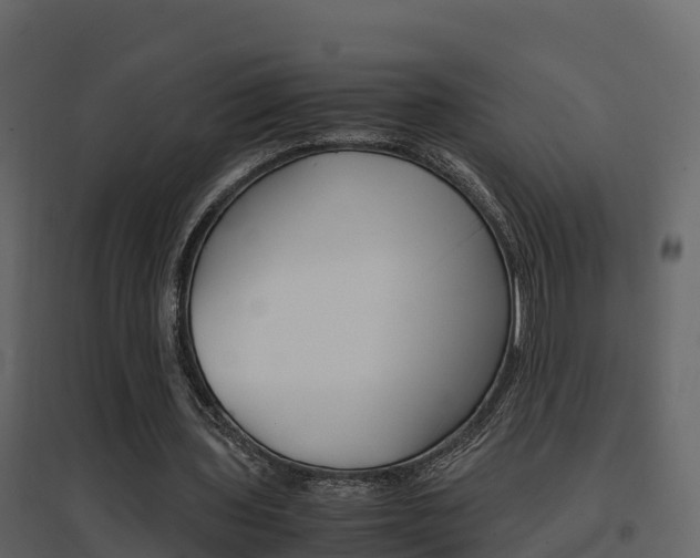 X0000096700435200802051104