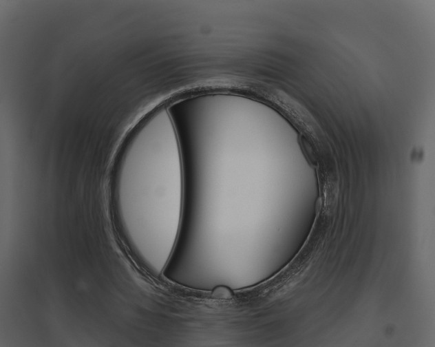 X0000096700436200802051104