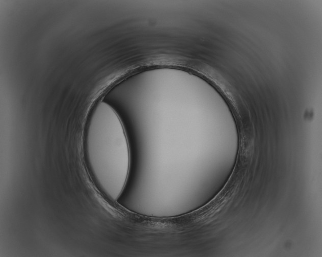 X0000096700437200802051104