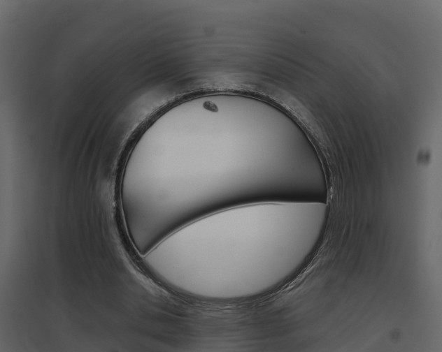 X0000096700438200802051104