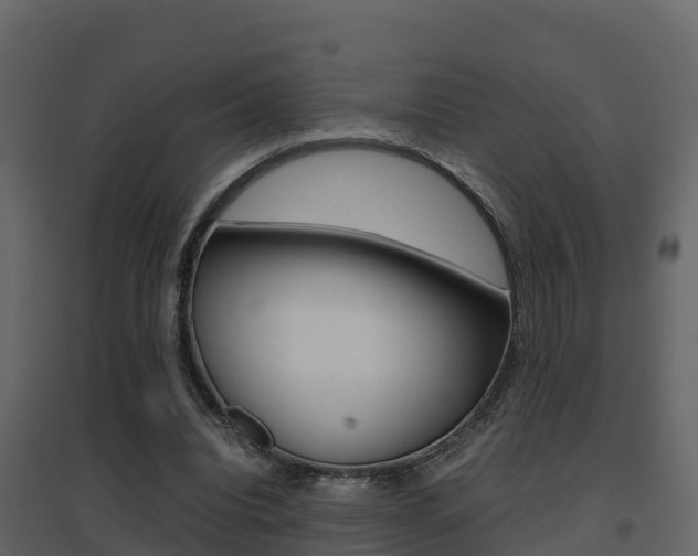 X0000096700440200802051104