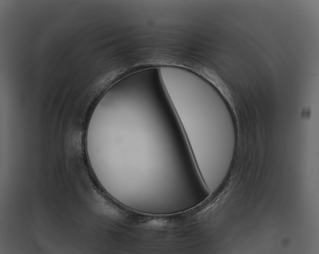 X0000096700441200802051104