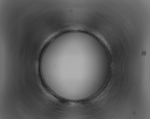 X0000096700442200802051105