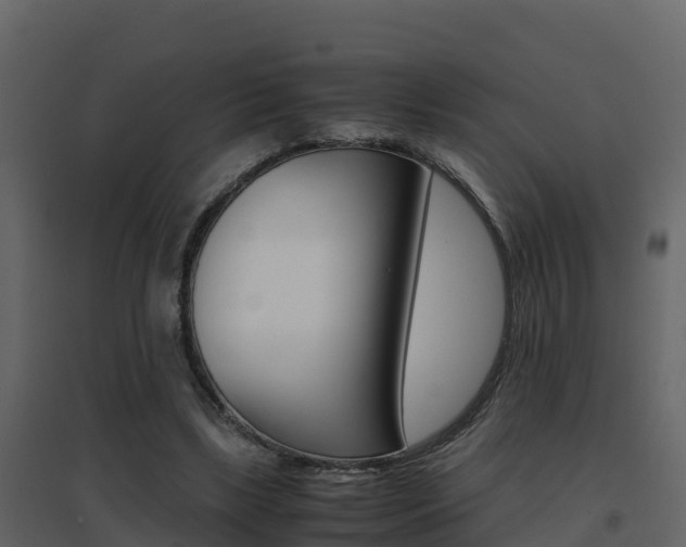 X0000096700443200802051105