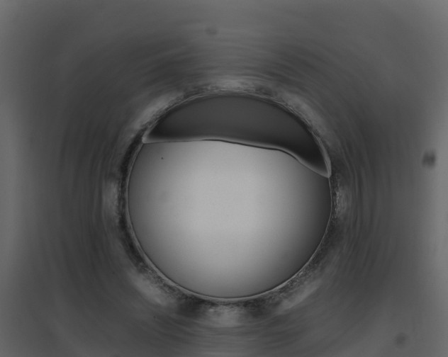 X0000096700444200802051105