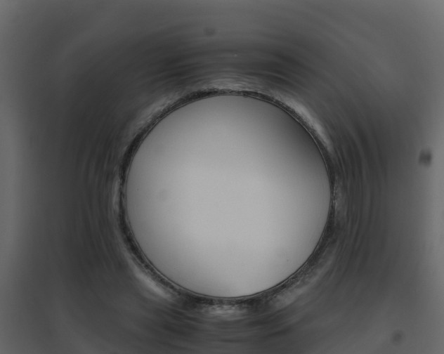 X0000096700445200802051105