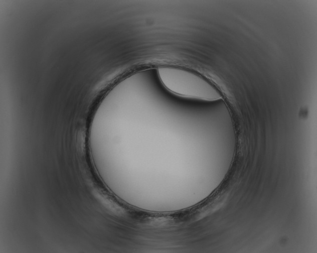 X0000096700446200802051105