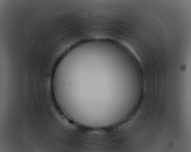 X0000096700447200802051105