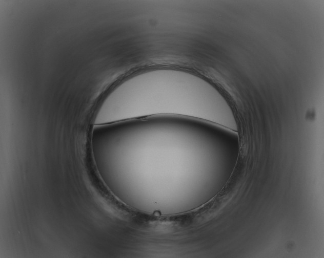 X0000096700448200802051105