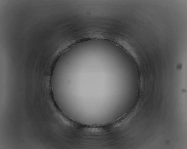 X0000096700449200802051105