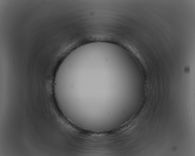 X0000096700450200802051105