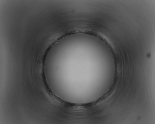 X0000096700451200802051105