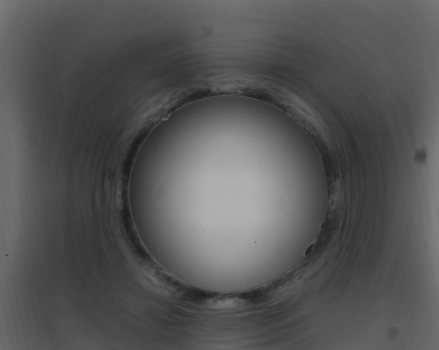 X0000096700452200802051105