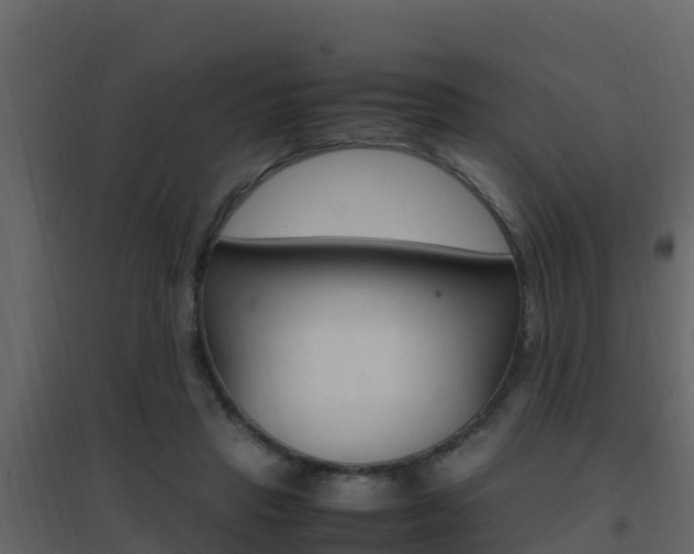 X0000096700453200802051105