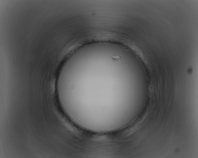 X0000096700454200802051105