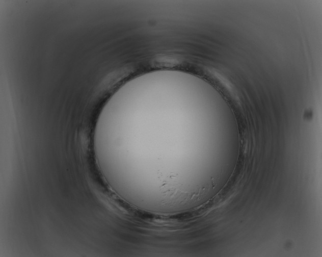 X0000096700455200802051105