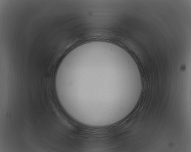 X0000096700456200802051105