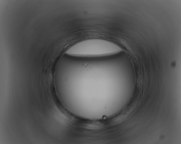 X0000096700459200802051105