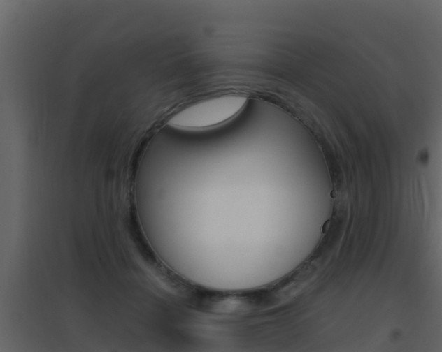 X0000096700460200802051105