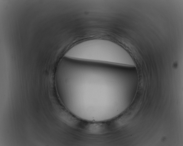 X0000096700461200802051105