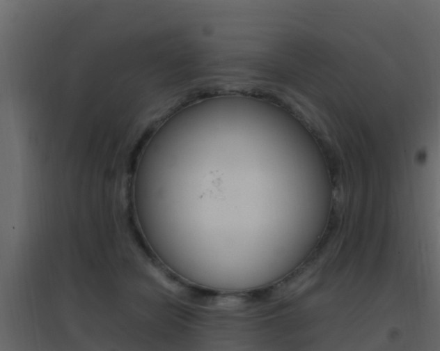 X0000096700462200802051105