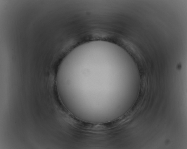 X0000096700463200802051105