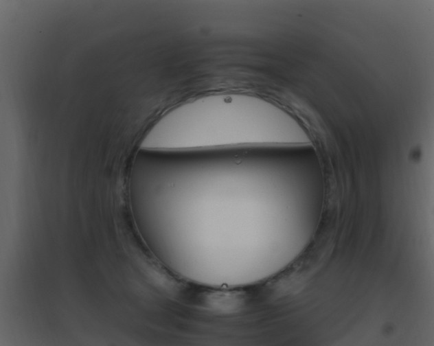 X0000096700465200802051105