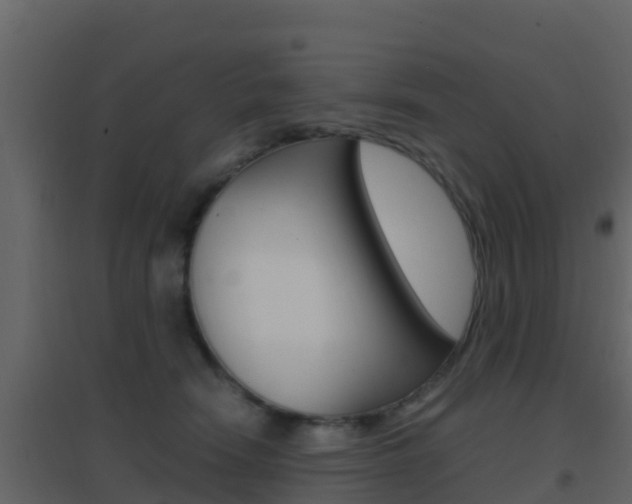 X0000096700466200802051105