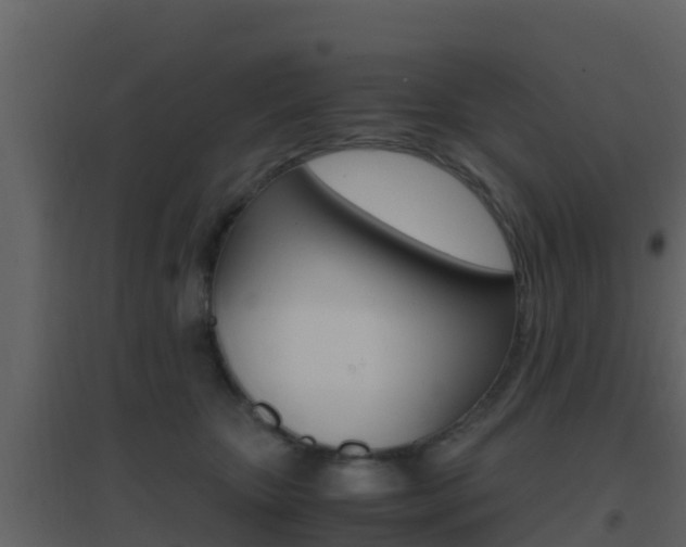 X0000096700467200802051105