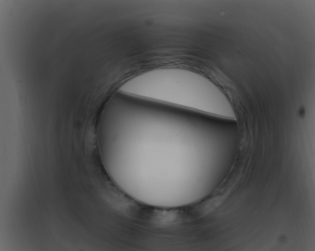 X0000096700469200802051105