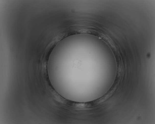 X0000096700473200802051105